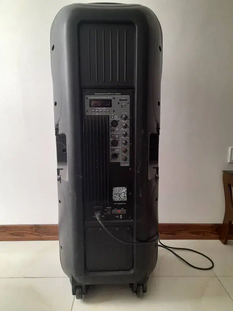 باند اکتیو ۱۵ اینچ دبل|سیستم صوتی خانگی|بندرعباس, |دیوار