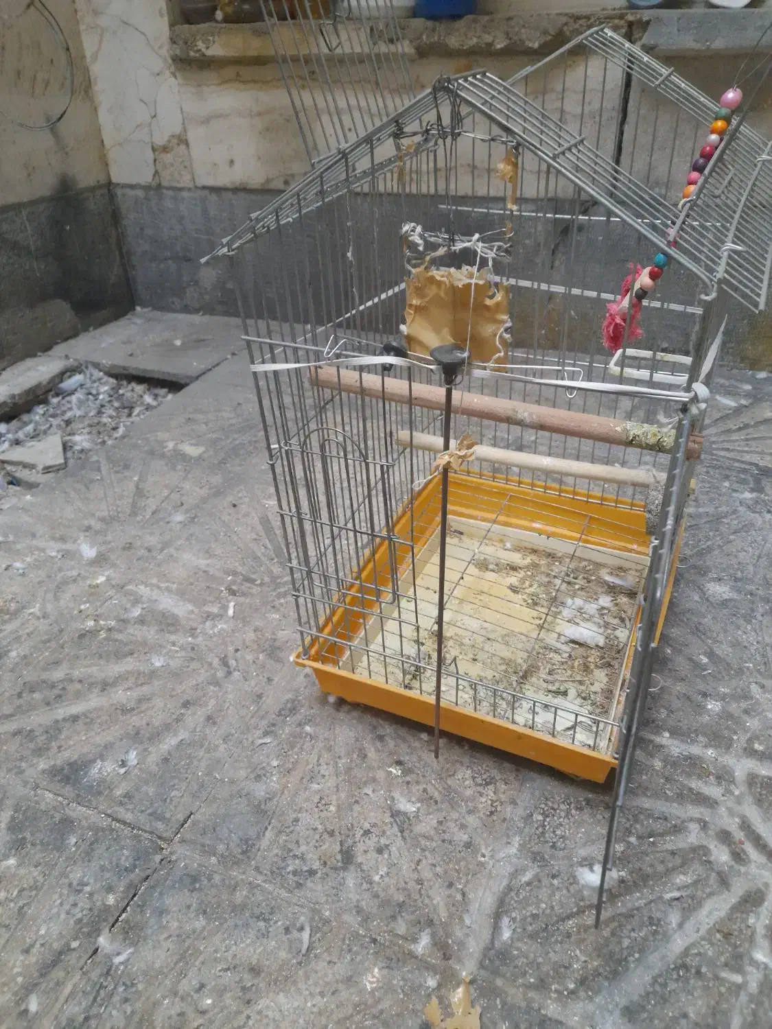 قفس بزرگ|لوازم جانبی حیوانات|بروجرد, |دیوار