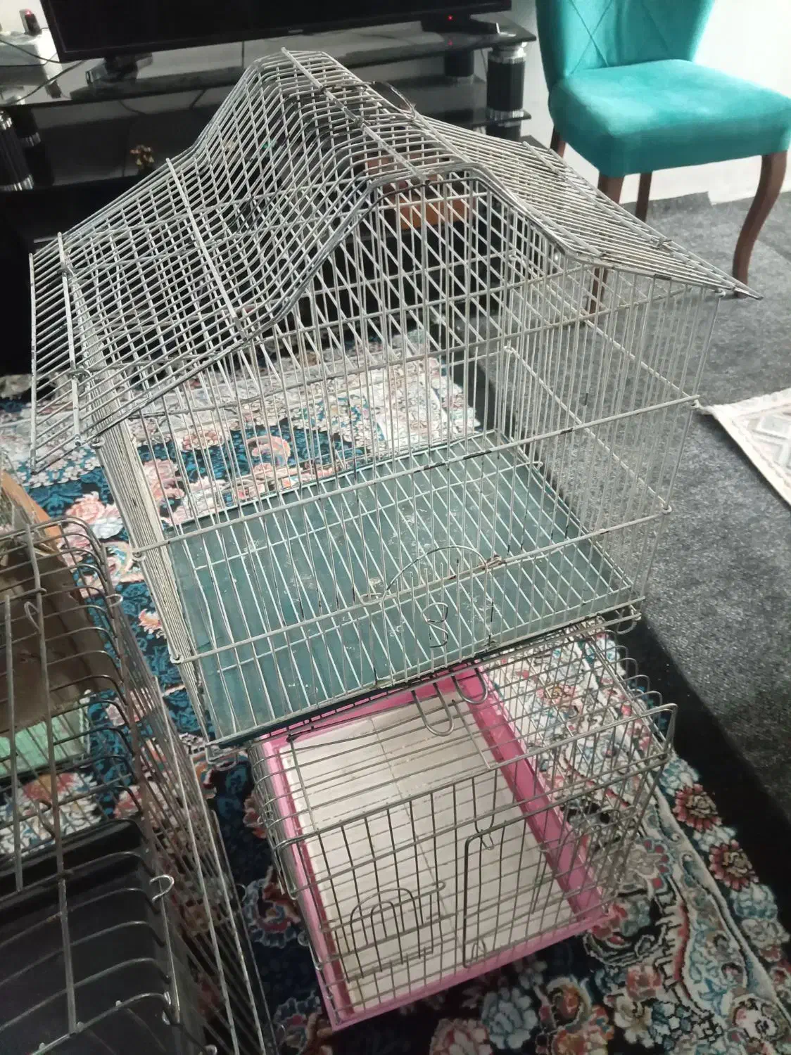 قفس پرنده|لوازم جانبی حیوانات|پاکدشت, حصار امیر|دیوار