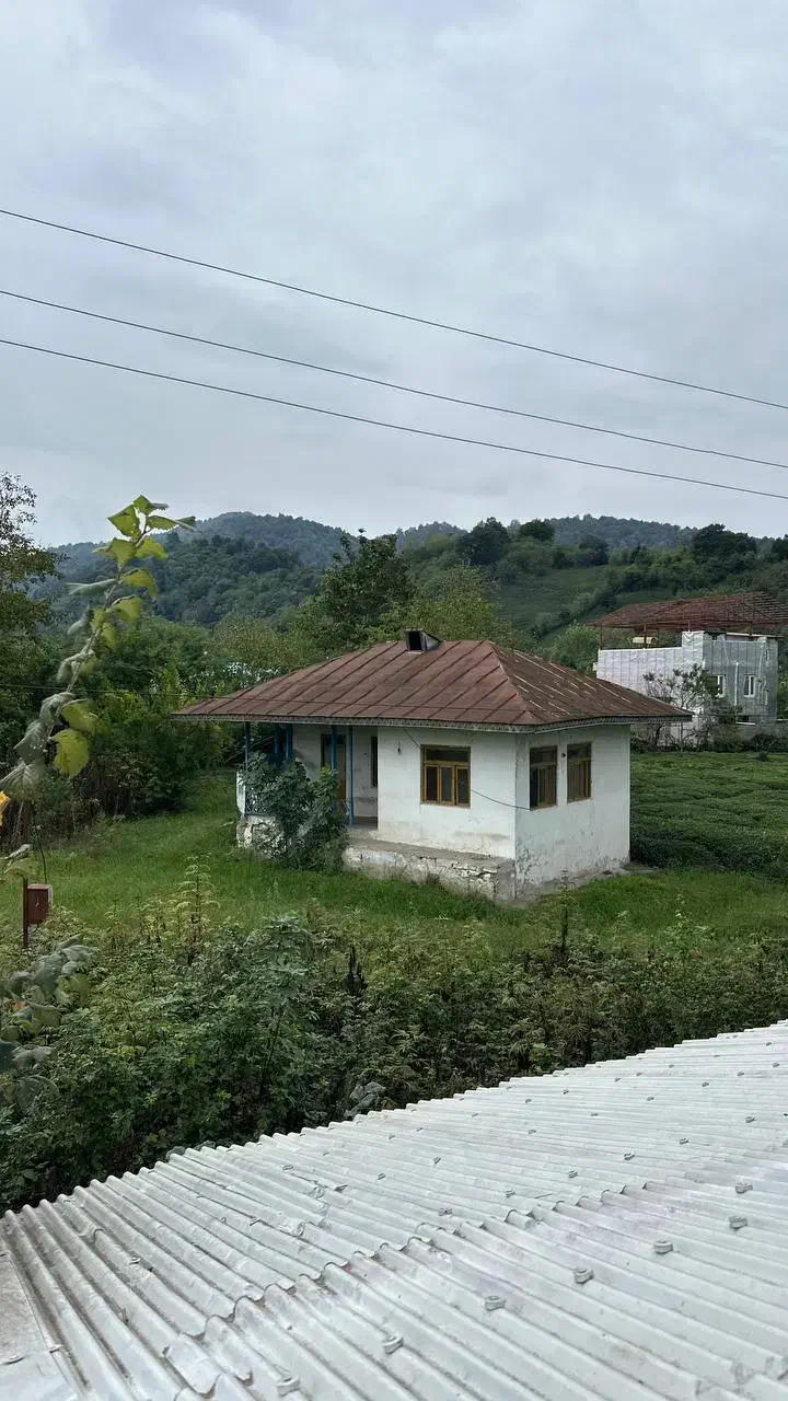 ۳هزارمتر خونه محوطه|فروش خانه و ویلا|احمدسرگوراب, |دیوار