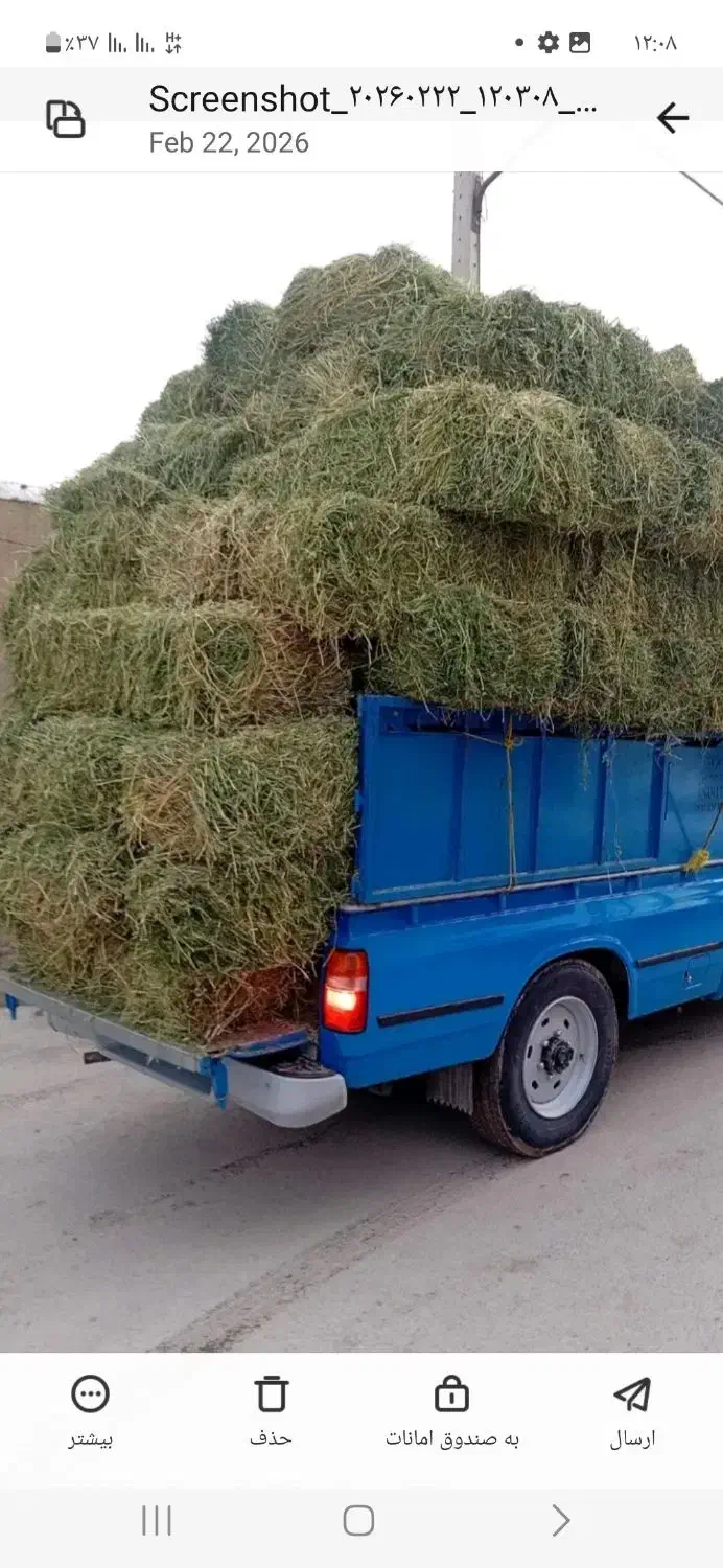 یونجه چین اول|خدمات باغبانی و درختکاری|سرپل ذهاب, |دیوار