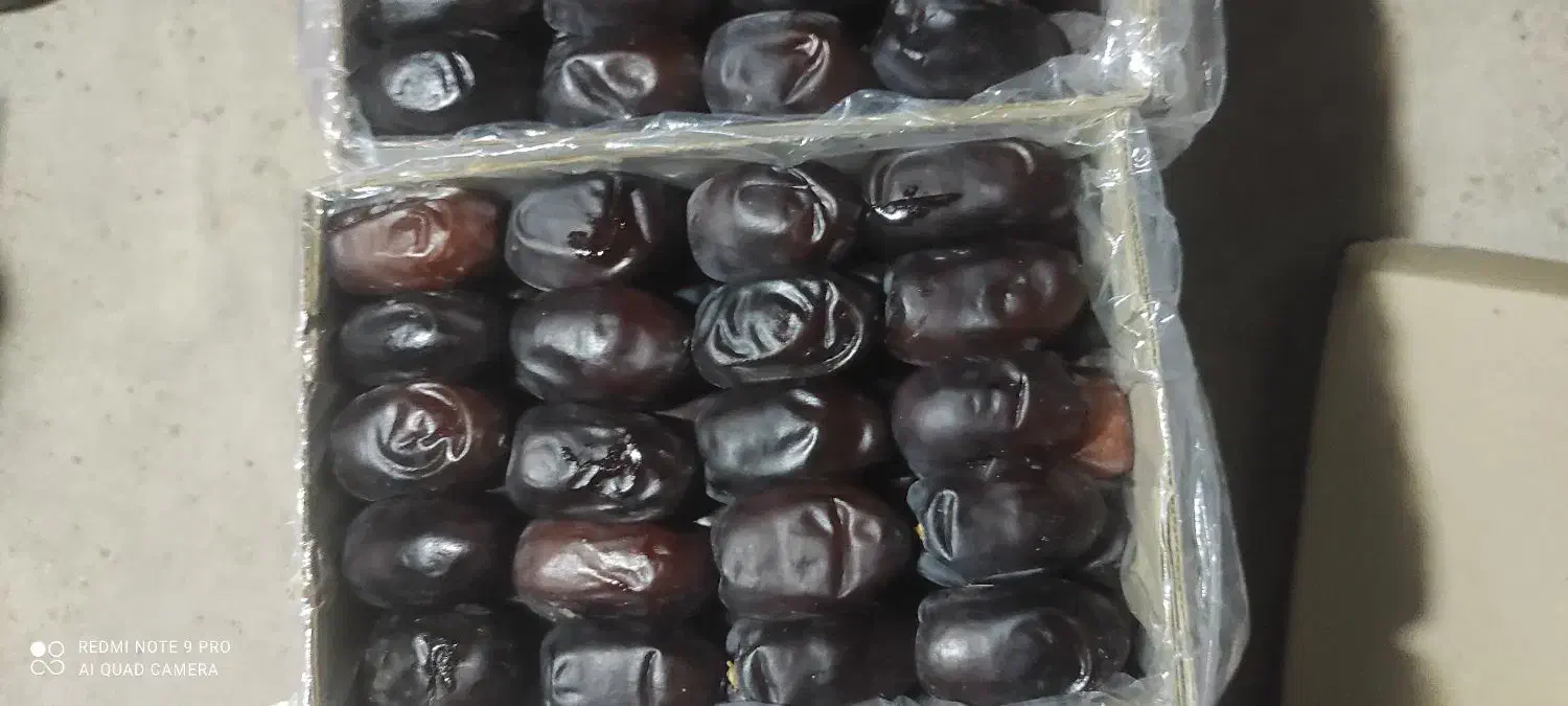 خرما کتابی درجه یک|خوردنی و آشامیدنی|سیب و سوران, |دیوار