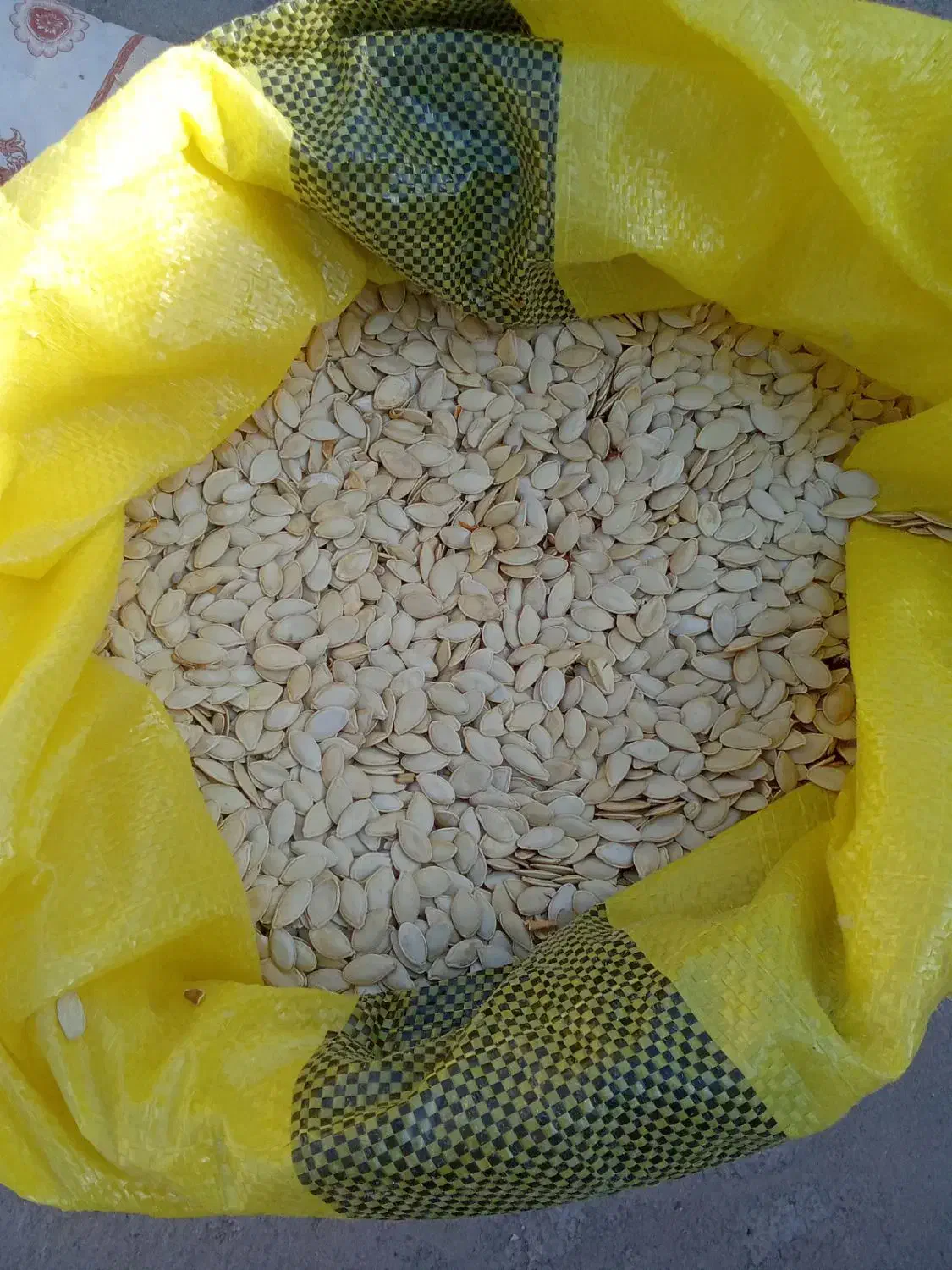 تخمه کدو|خوردنی و آشامیدنی|یامچی, |دیوار