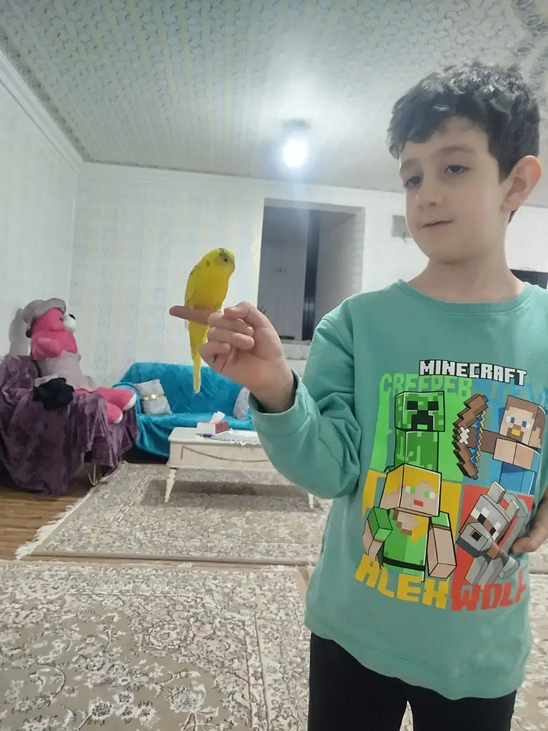 فروش یک عدد مرغ عشق اهلی معاوضه  با فنچ|پرنده|شاهین دژ, |دیوار