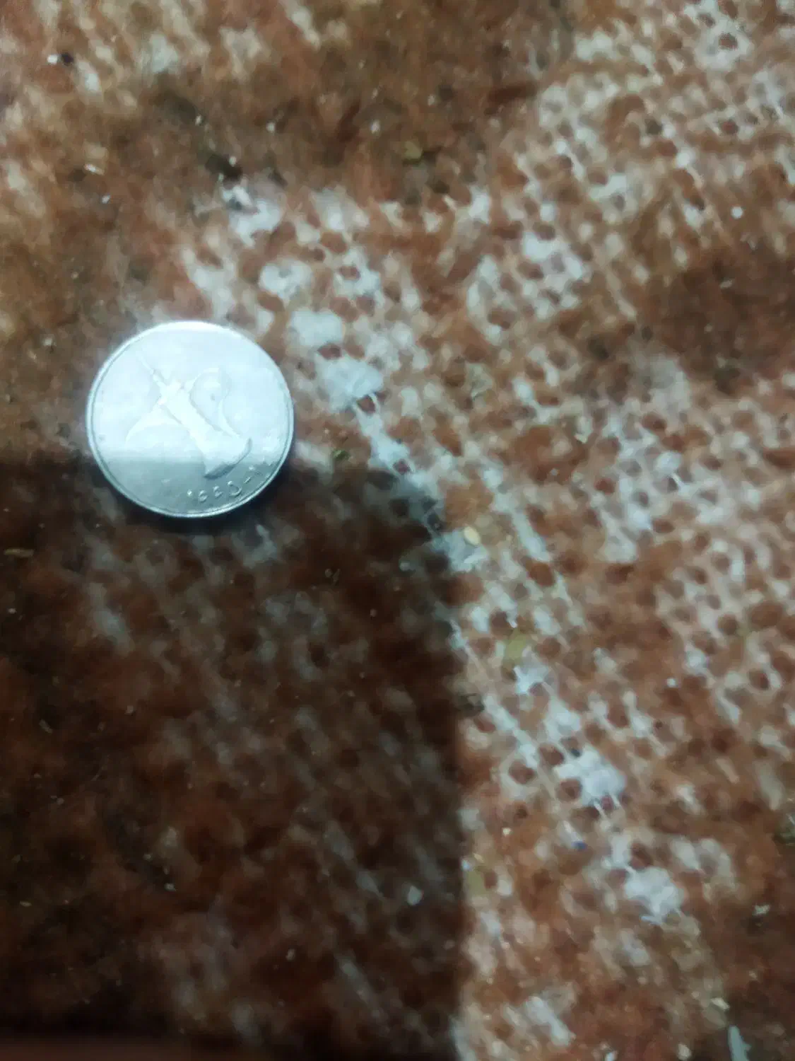 فروش سکه رضاشاه پهلوی|کلکسیون سکه، تمبر، اسکناس|شیراز, گلکوب|دیوار