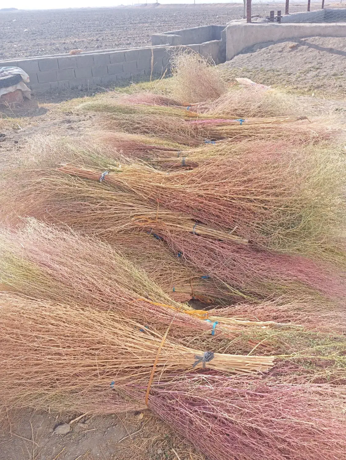 جارو|لوازم نظافت|شیروان (لرستان), |دیوار