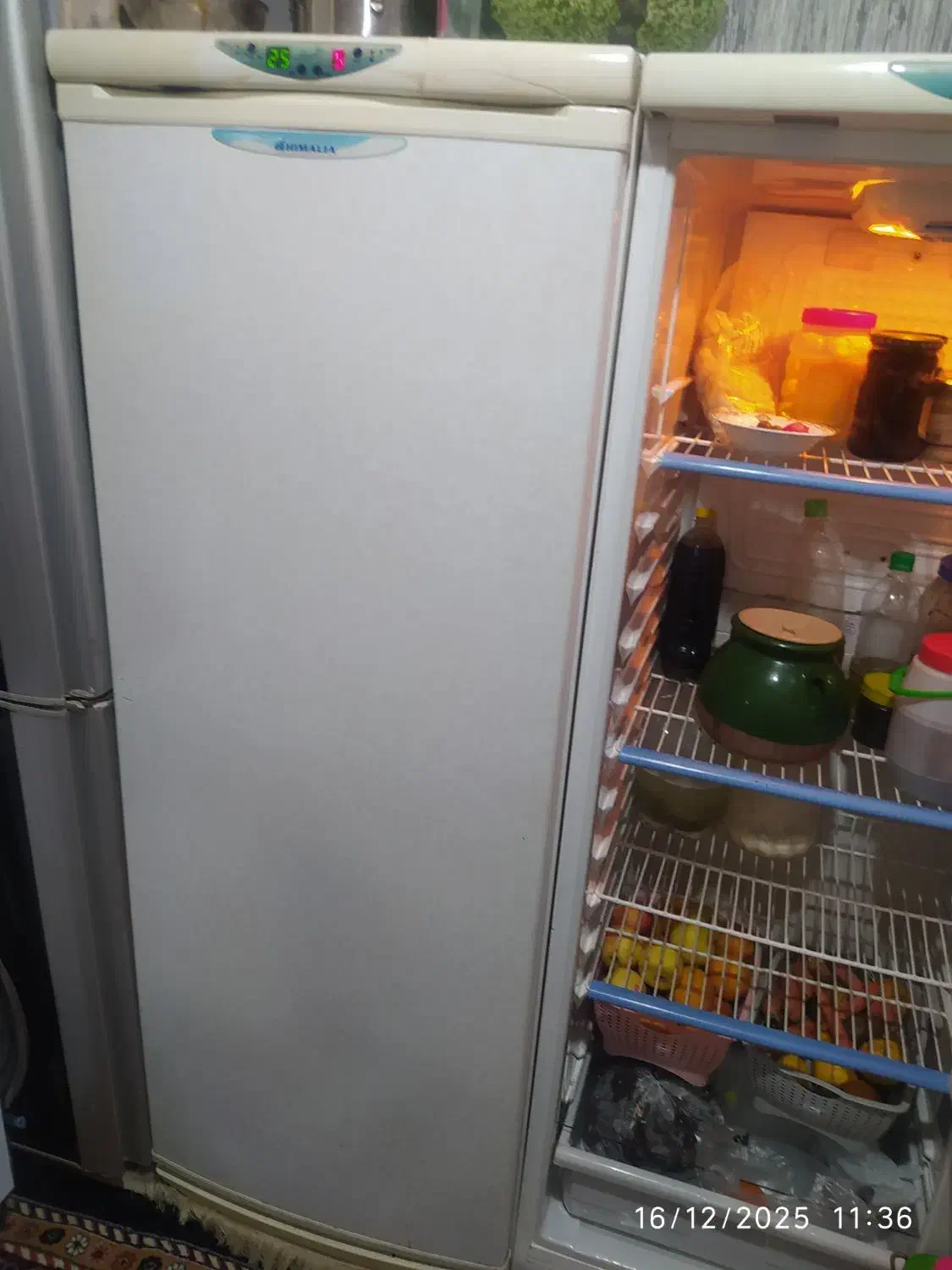 یخچال|یخچال و فریزر|رشت, نظری|دیوار