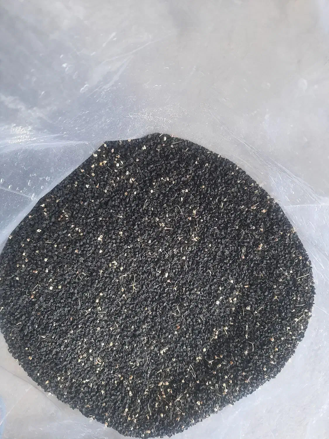 بذر پیاز قرمز|گل و گیاه طبیعی|نوشین شهر, |دیوار