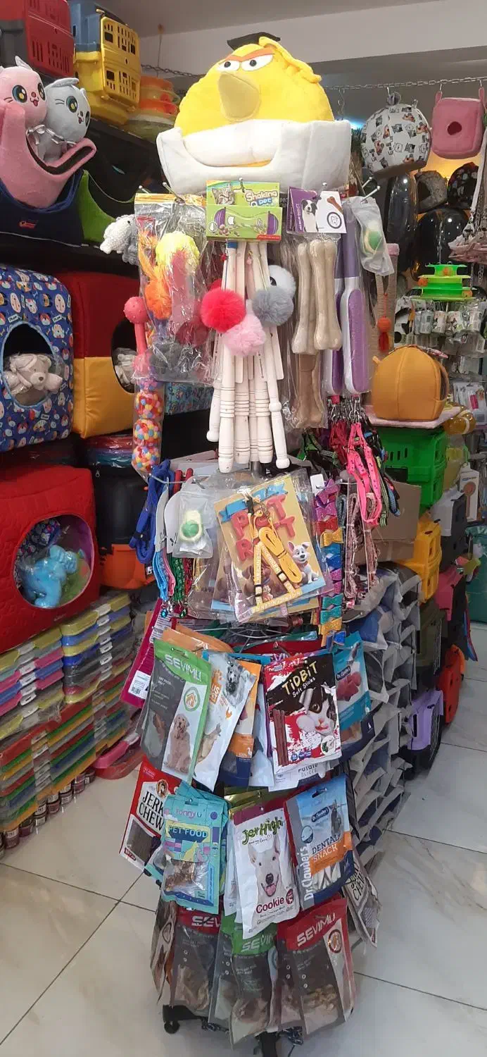 پت شاپ ملزومات حیوانات خانگی|لوازم جانبی حیوانات|اراک, |دیوار