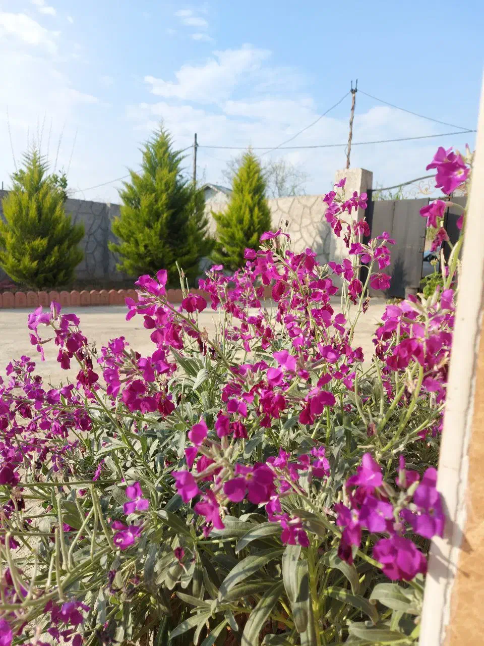 اجاره روزانه خانه ویلایی|اجارهٔ کوتاهمدت ویلا و باغ|گوراب زرمیخ, |دیوار