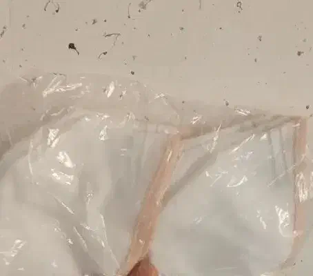 ماسک پزشکی|پزشکی|سنندج, |دیوار