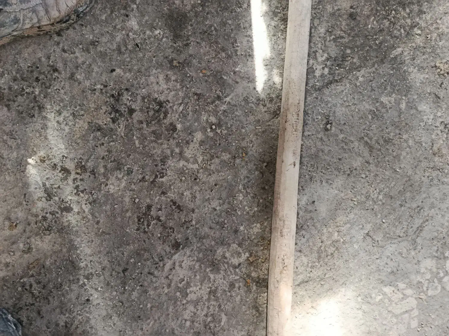 زغال|خدمات پیشه و مهارت|بیرجند, |دیوار