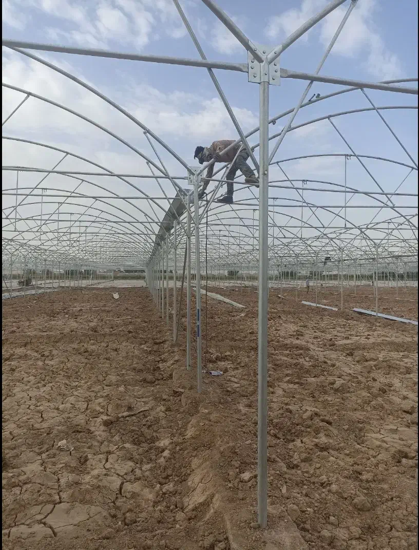 نصب انواع گلخانه های فلزی در همه ابعاد|خدمات پیشه و مهارت|ورامین, ورامین|دیوار