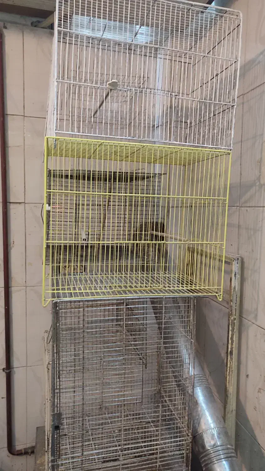 قفس با لوازم کامل|لوازم جانبی حیوانات|مشهد, شریف|دیوار