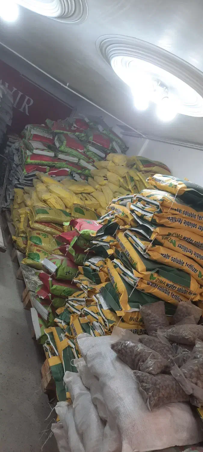 چالکود زمستانه|خدمات باغبانی و درختکاری|الوند, |دیوار