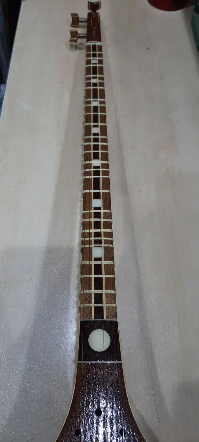 سه تار شیخ کاسه گردو|سازهای سنتی|شیراز, ارم|دیوار