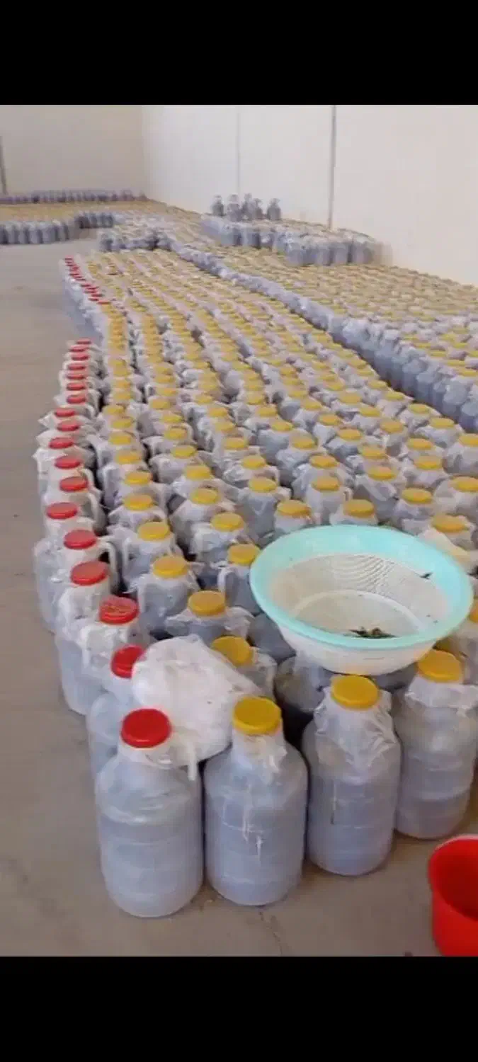 خیارشور|خدمات باغبانی و درختکاری|خسروشاه, |دیوار