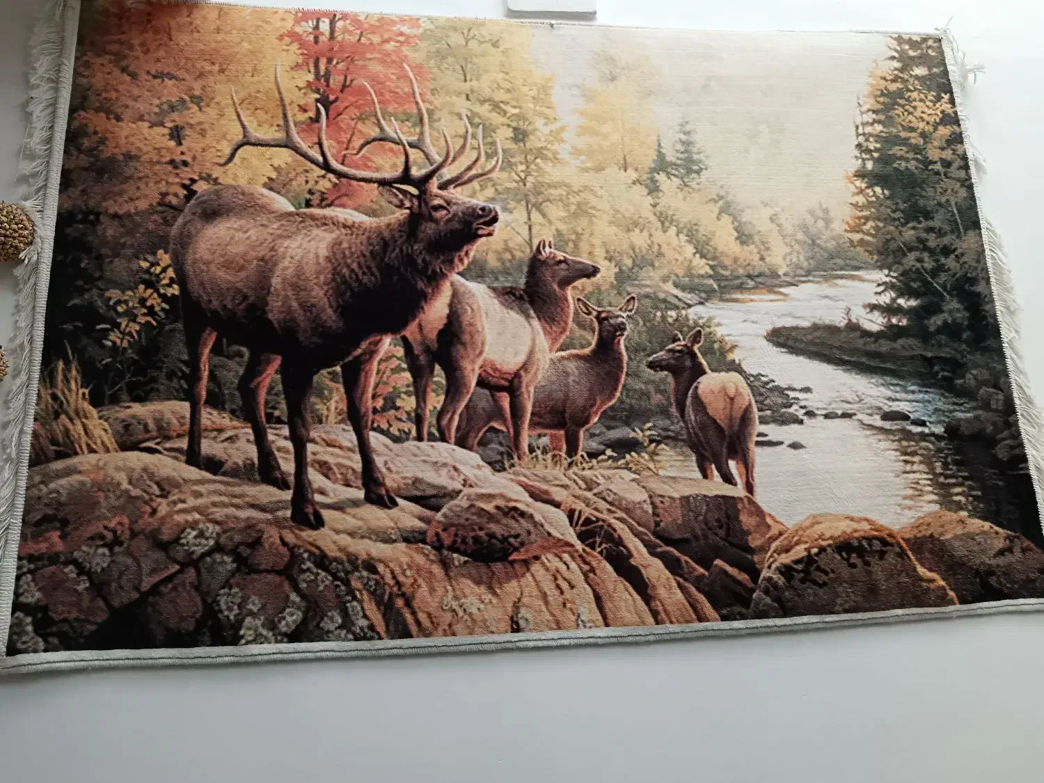 فرش 1 در 2|فرش|قوچان, |دیوار