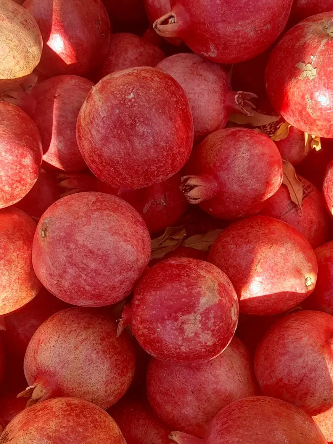 انار۵۰۰۰۰|خوردنی و آشامیدنی|کوهنانی, |دیوار