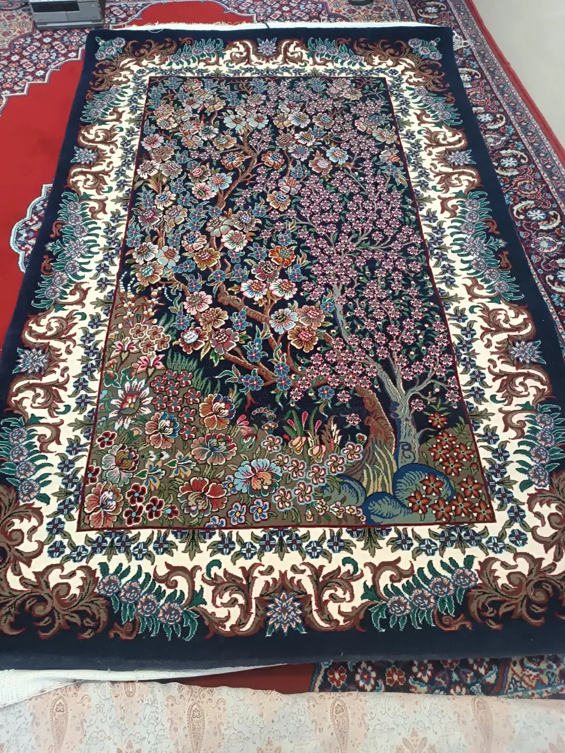 فرش دستباف مرتب تمیز درجه یک|فرش|داراب, |دیوار