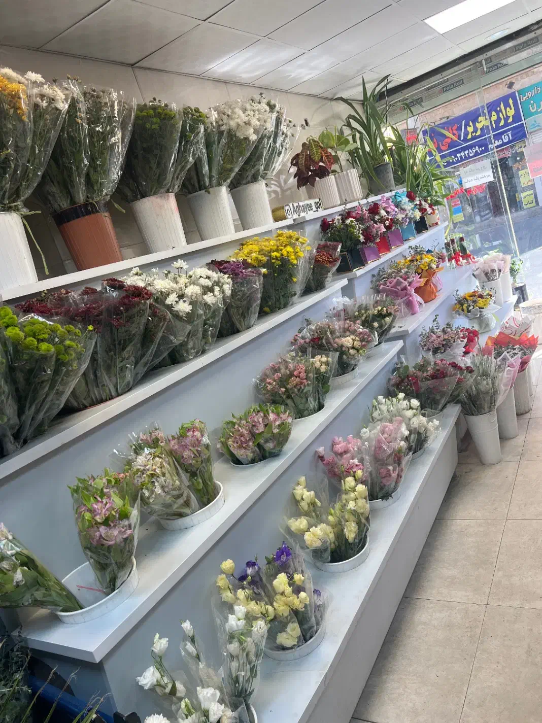 نیروی ساده اقا جهت کار در گل فروشی ۱۵ ال۲۰میلیون|استخدام بازاریابی و فروش|فردیس, نسترن غربی|دیوار