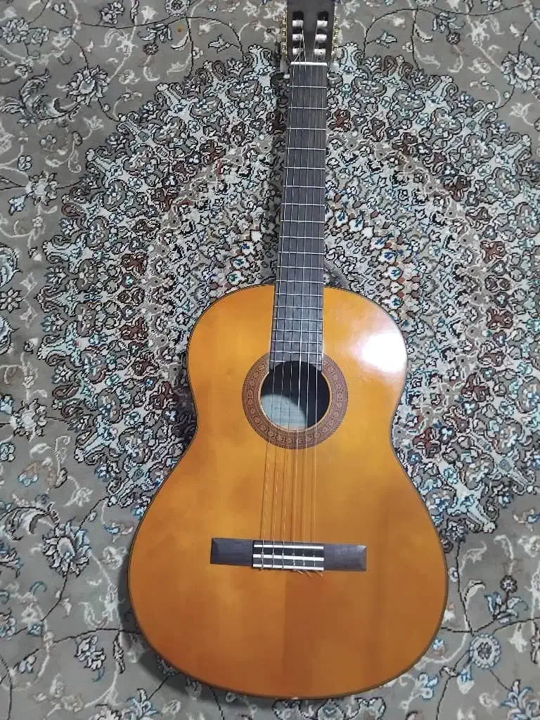 گیتار|گیتار، بیس، امپلیفایر|کرج, شاهین‌ویلا|دیوار