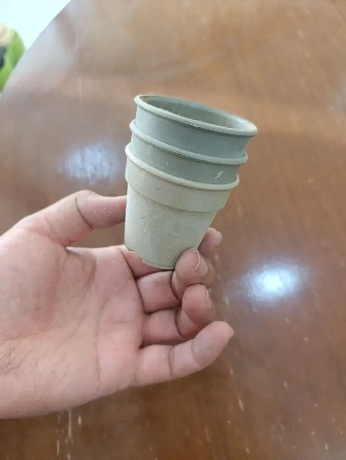 گلدان گلخانه ای مشکی|گل و گیاه طبیعی|قم, هفت تیر|دیوار