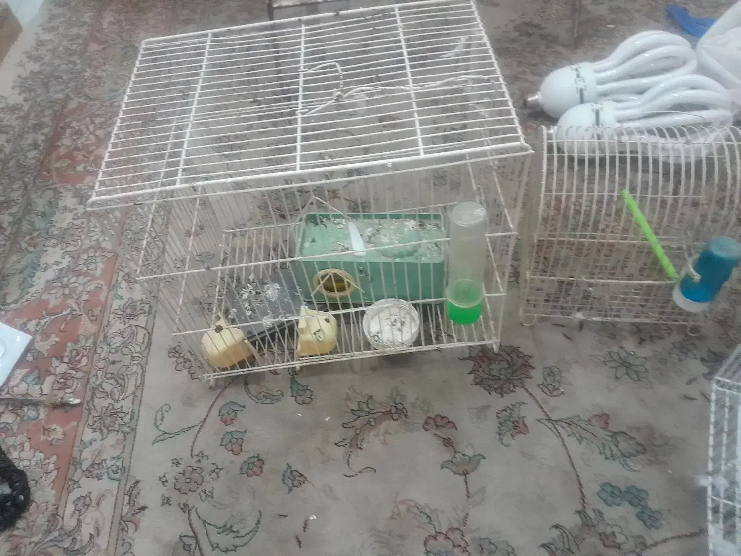 قفس پرنده|لوازم جانبی حیوانات|نمین, |دیوار