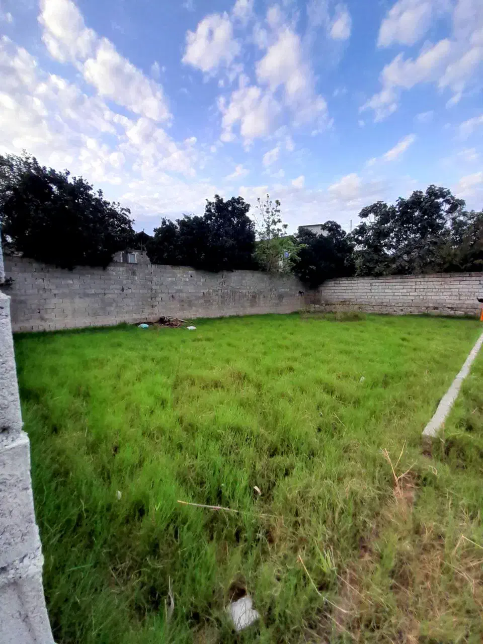زمین۲۰۵متری بافت مسکونی باپروانه ساخت/مالک هستم|فروش زمین و ملک کلنگی|فریدونکنار, |دیوار
