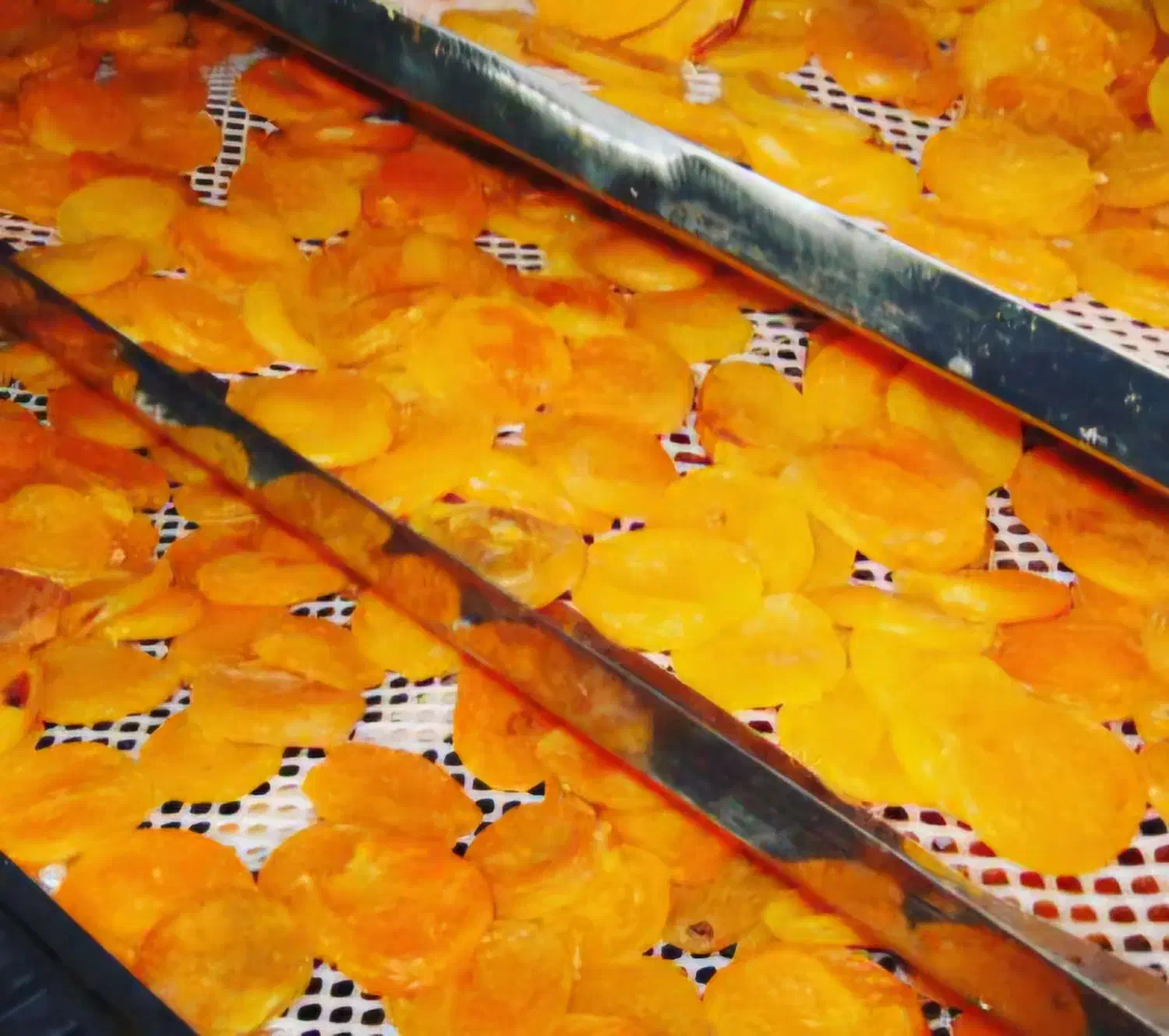 مشاوره و تولید دستگاه خشک کن میوه و سبزی مدل pls.|ماشین‌آلات صنعتی|مشهد, کاظم آباد پنجشنبه|دیوار