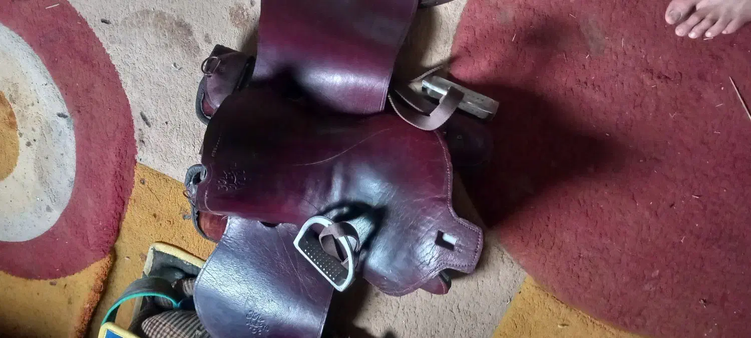 دزفول|اسب و تجهیزات اسب‌سواری|شوش, |دیوار