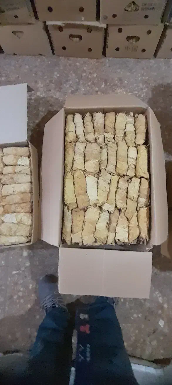 کاهو برگ قرمز و طلایی برازجان|خدمات باغبانی و درختکاری|بوشهر, |دیوار