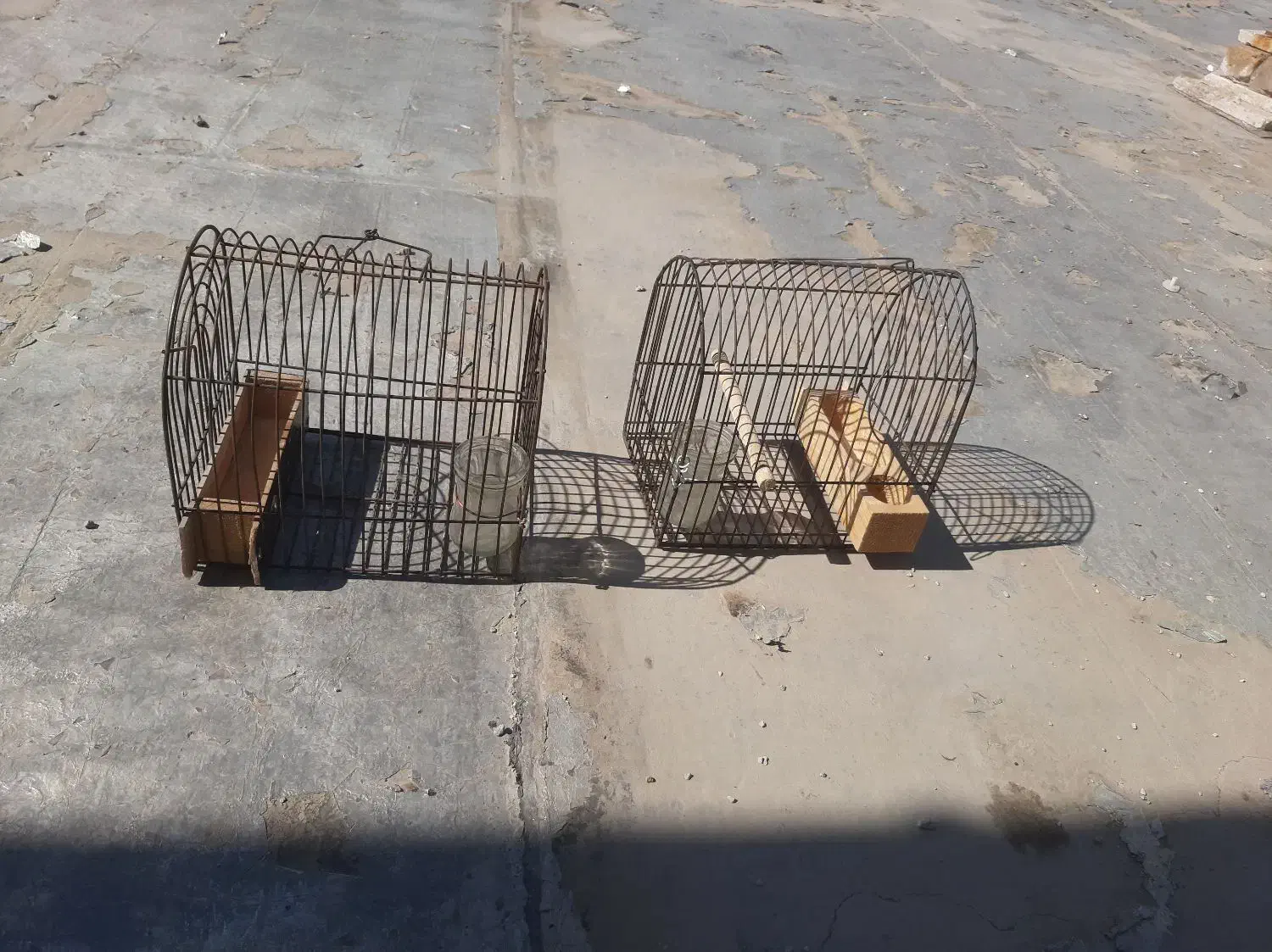 قفس|لوازم جانبی حیوانات|شیراز, کوشک میدان|دیوار