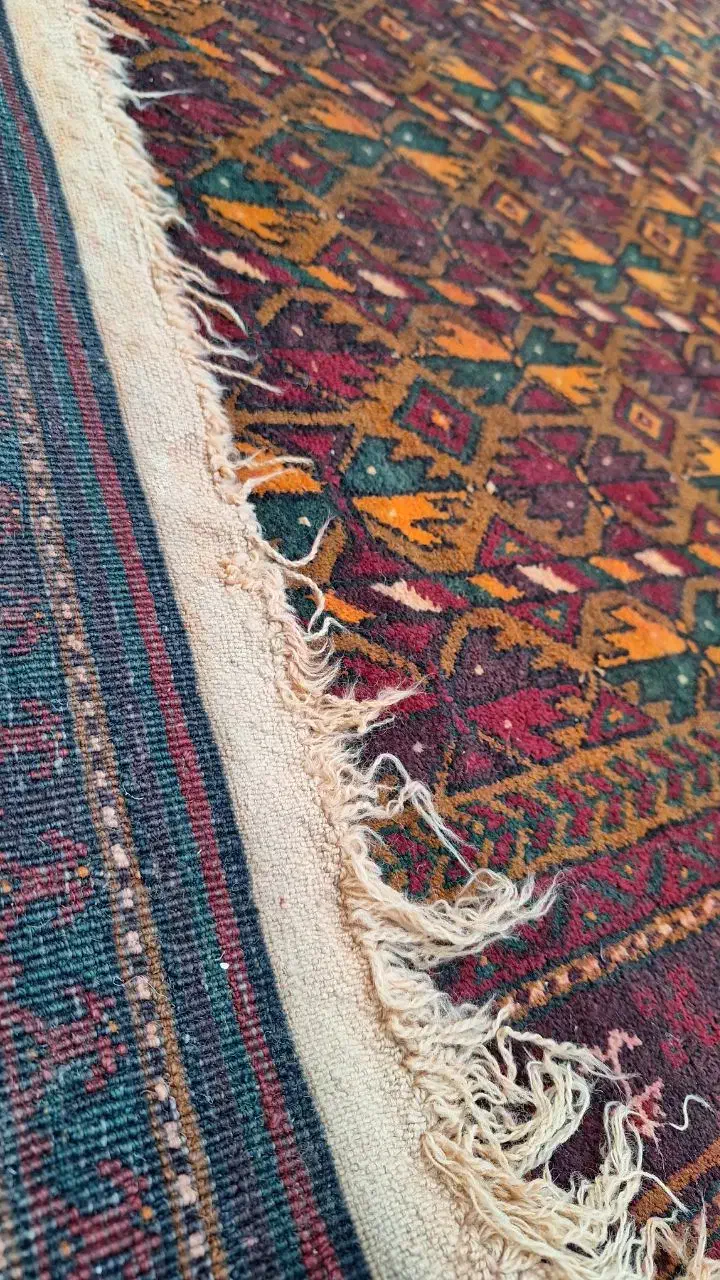 فرس دستباف سیستان|فرش|زاهدان, |دیوار