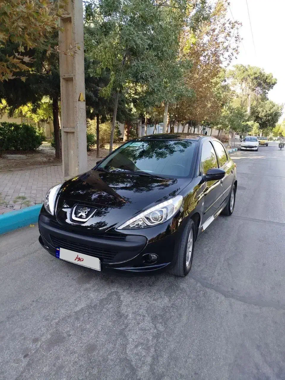 ۲۰۷ پانوراما مدل ۱۴۰۱|خودرو سواری و وانت|همدان, |دیوار