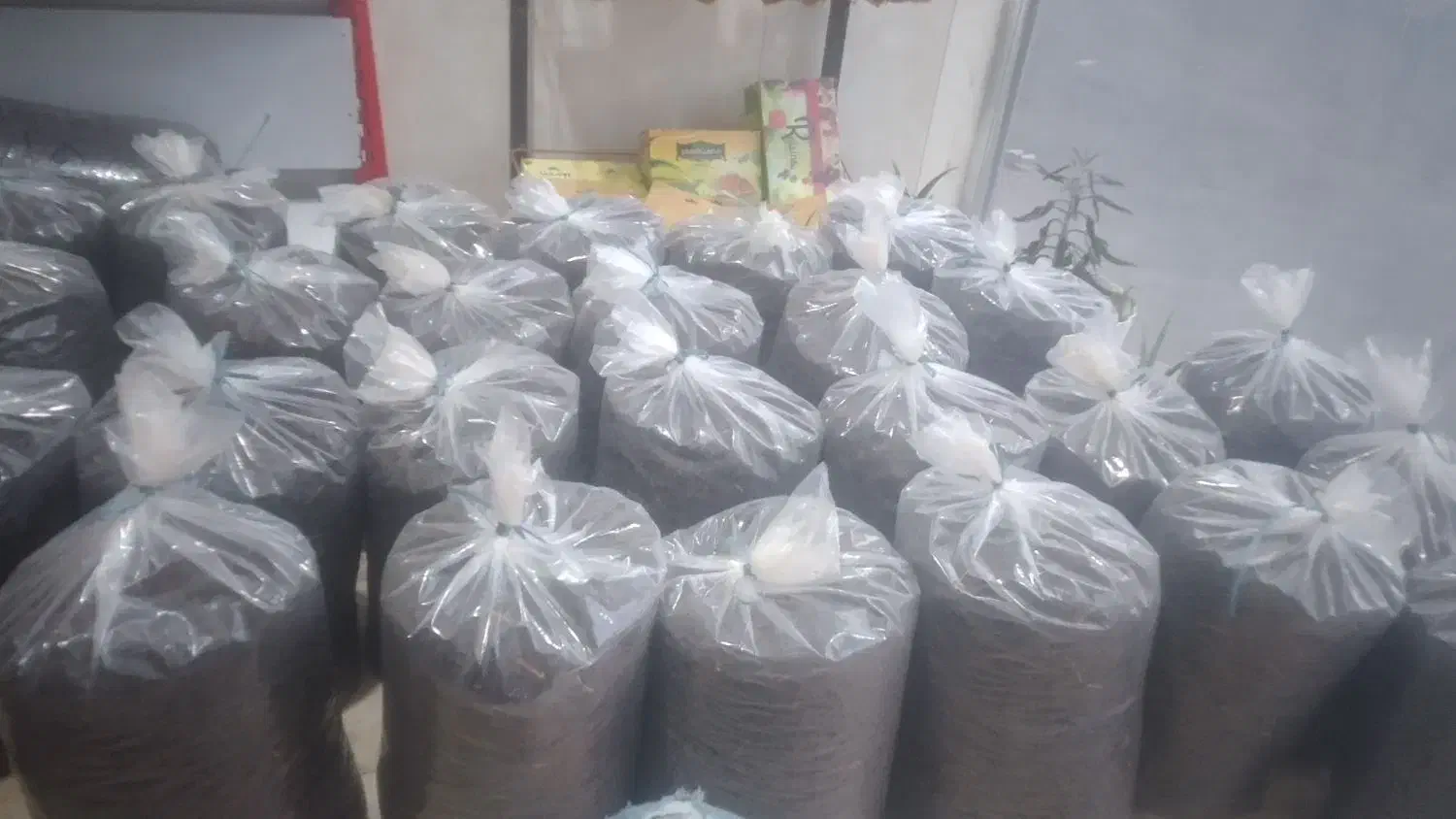 کشمش سرکه بدونه دونه بدونه چوب تمیز|خوردنی و آشامیدنی|محمدشهر, محمدشهر|دیوار