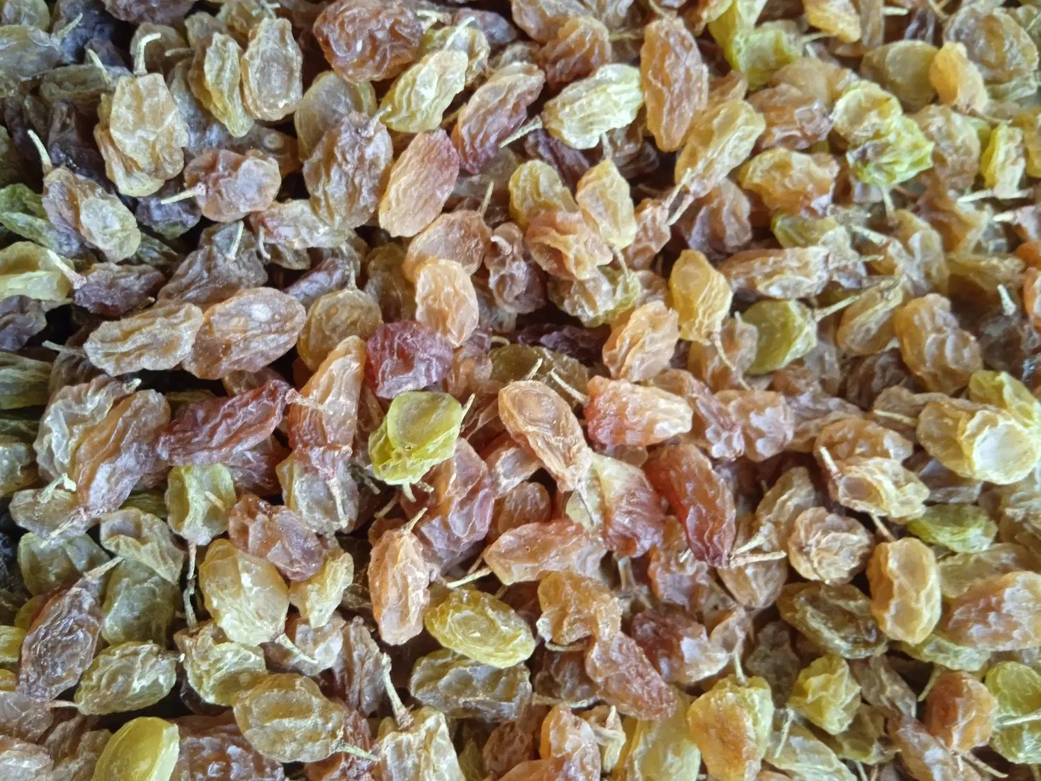 کشمش|خوردنی و آشامیدنی|پاتاوه, |دیوار