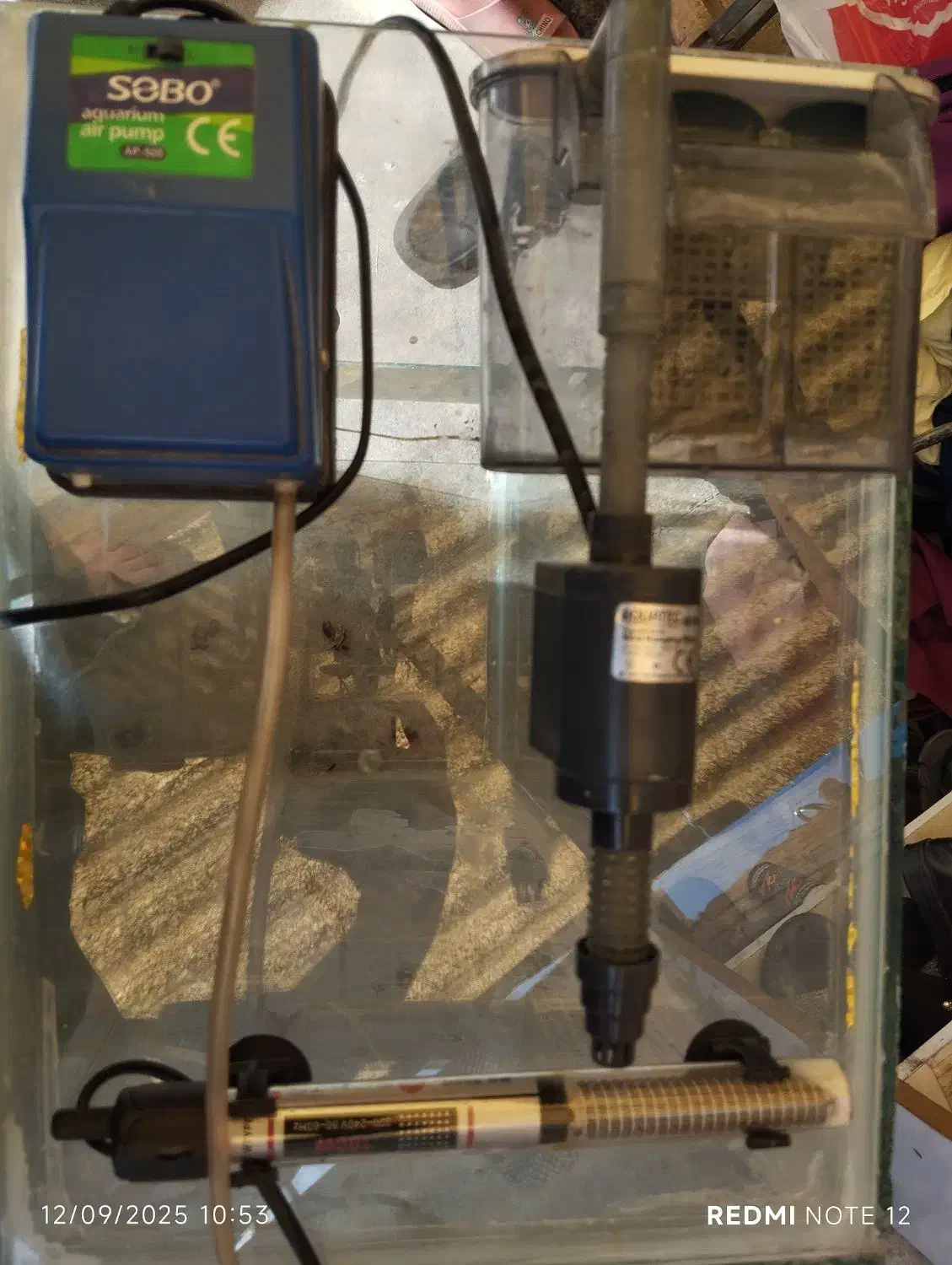 آکواریوم 1 متری|ماهی|تبریز, |دیوار