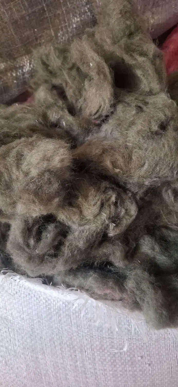 بالشت گرد محلی|رختخواب، بالش، پتو|فولادشهر, A3|دیوار