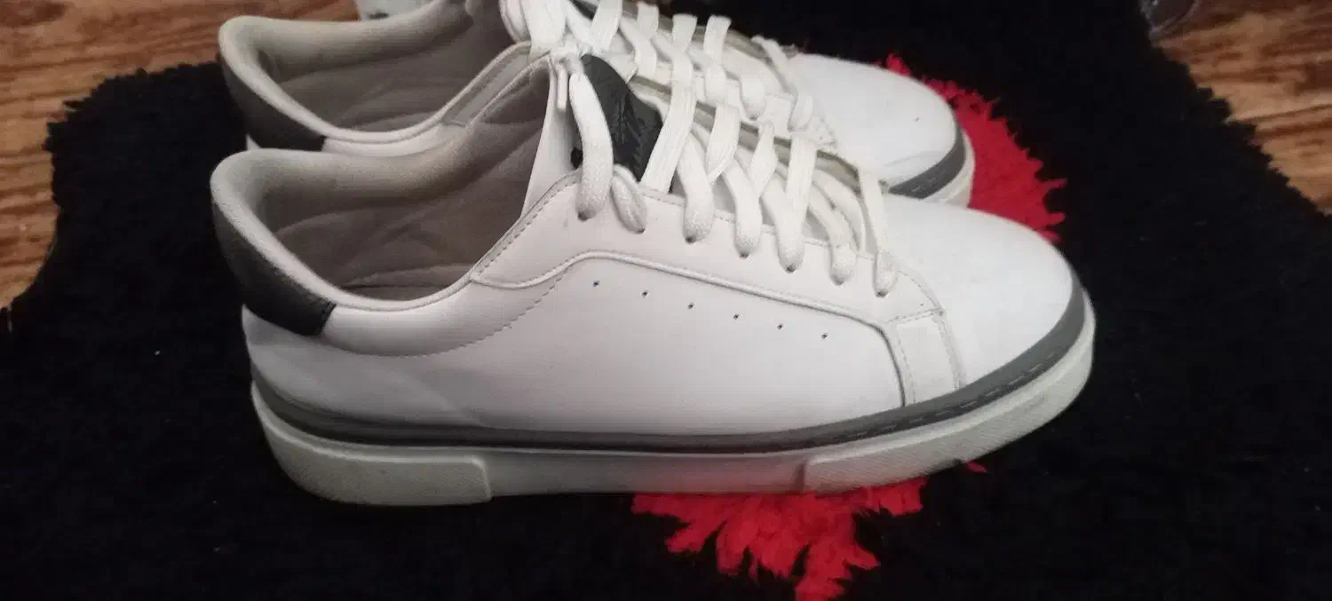 کفش ونس|کیف، کفش، کمربند|شاهین دژ, |دیوار