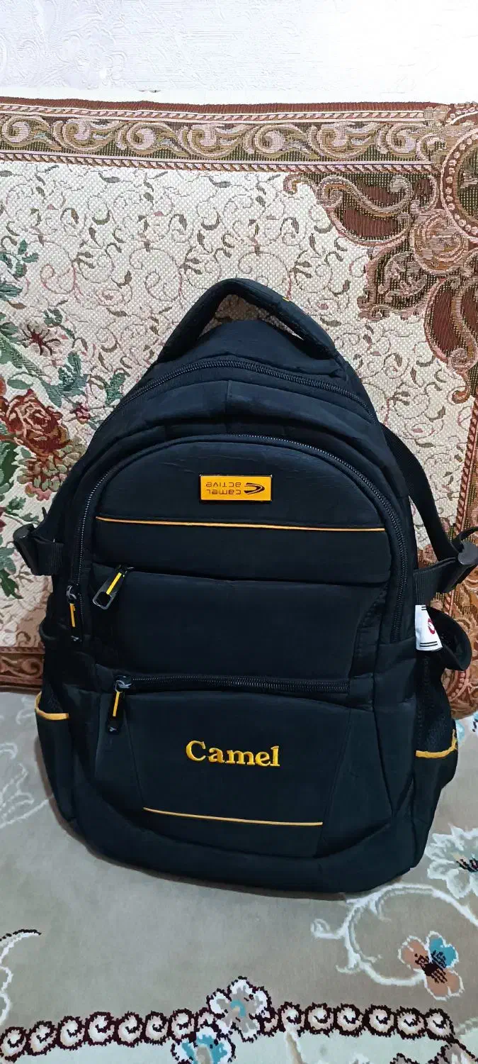 کیف|کیف، کفش، کمربند|پاکدشت, حصار امیر|دیوار