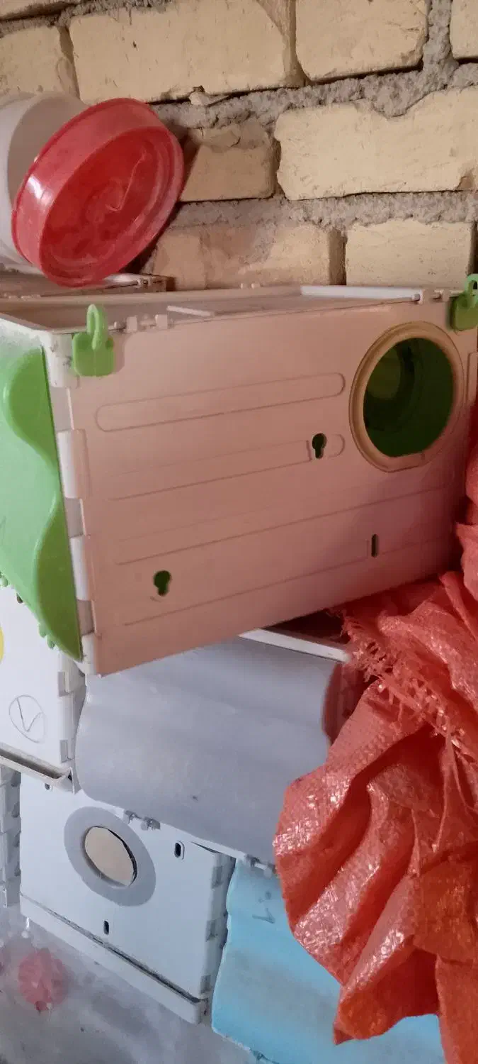 لانه عروس هلندی|لوازم جانبی حیوانات|بوئین و میاندشت, |دیوار