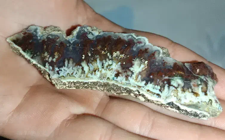 سنگ شجر ،عقیق|کلکسیون اشیاء عتیقه|یاسوج, |دیوار