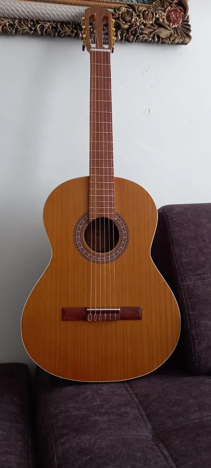 گیتار m5همراه کیف و کاپو|گیتار، بیس، امپلیفایر|آبیک, |دیوار