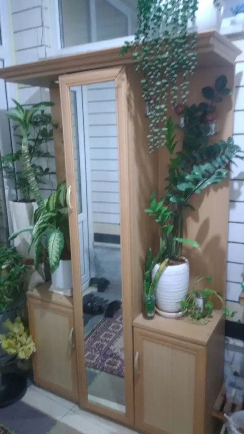 جا کفشی|جاکفشی، کمد، دراور|بندر کنگان, |دیوار