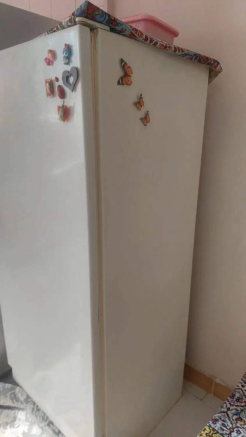 یخچال تمیز  بدون زن زدگی|یخچال و فریزر|رشت, حمیدیان|دیوار