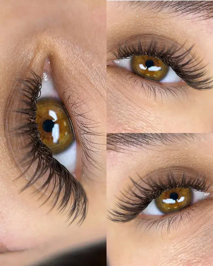 آموزش اکستنشن مژه|خدمات آموزشی|شیراز, شهرک جماران|دیوار