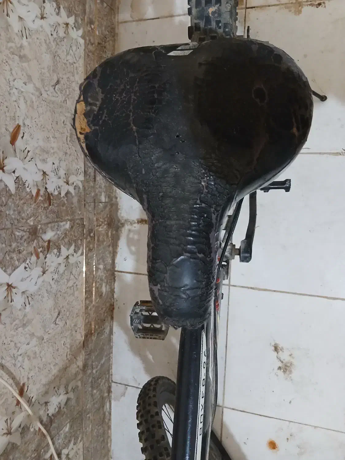 دوچرخه ۲۶ عادی|دوچرخه، اسکیت، اسکوتر|اهواز, ملاشیه|دیوار