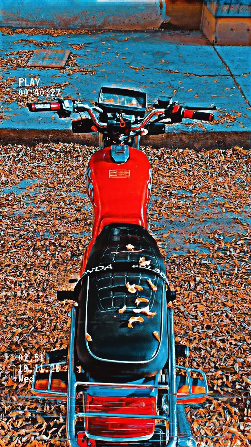 هندا شکاری 150|موتورسیکلت|کرمان, |دیوار