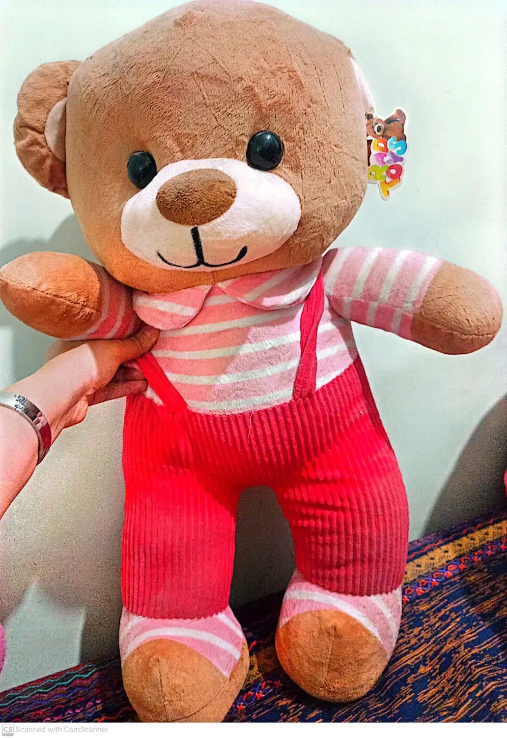 خرس|کلکسیون و سرگرمی|فولادشهر, فولادشهر|دیوار